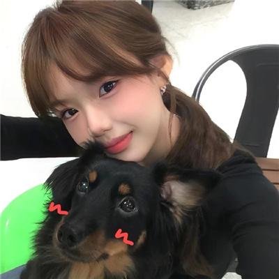 巨齿鲨2